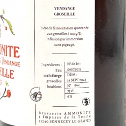Brasserie Ammonite - Bière Vendage Groseille - 2023, contre-étiquette