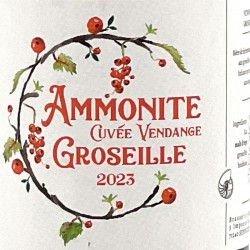 Brasserie Ammonite - Bière Vendage Groseille - 2023, étiquette