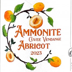 Brasserie Ammonite - Bière Vendage Abricot - 2023, étiquette