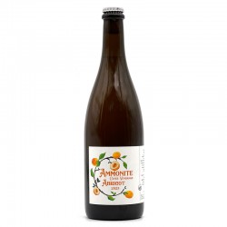 Brasserie Ammonite - Bière Vendage Abricot - 2023