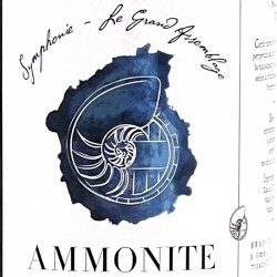 Brasserie Ammonite - Bière Symphonie Solera VIII, étiquette