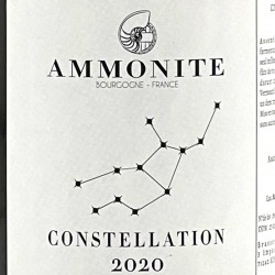 Brasserie Ammonite - Bière Constellation - 2020, étiquette